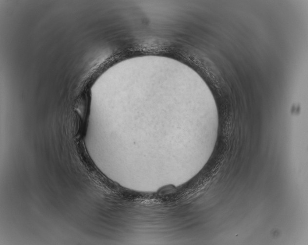 X0000096630689200802261205