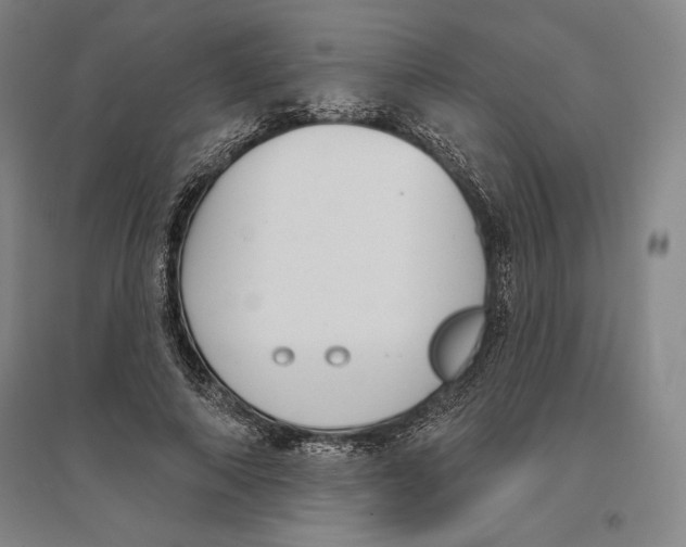 X0000096630690200802261205