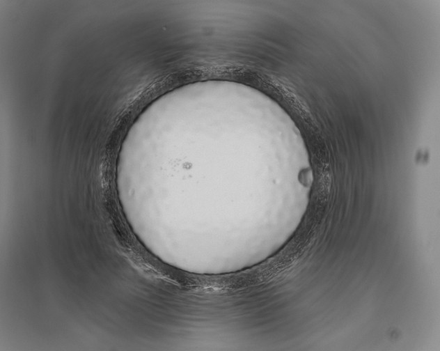 X0000096630691200802261205