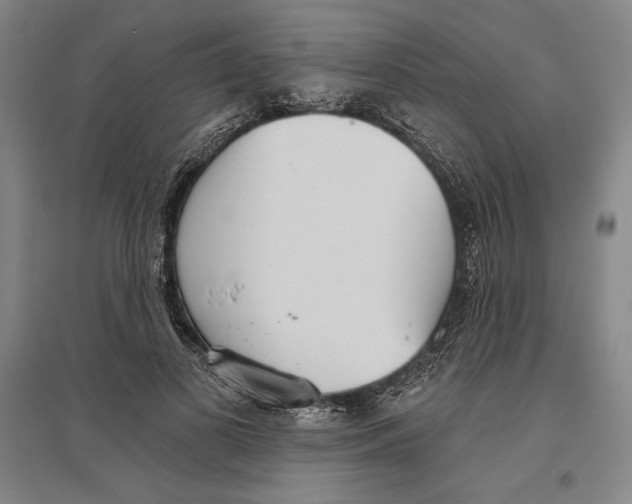 X0000096630693200802261205