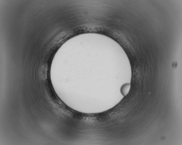 X0000096630694200802261205