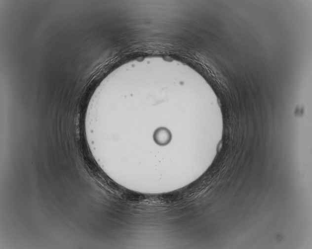 X0000096630696200802261205