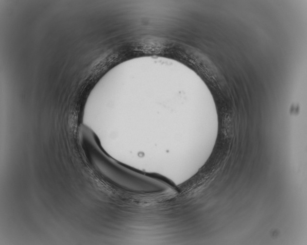 X0000096630697200802261205