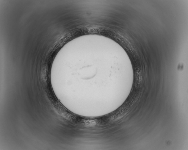 X0000096630698200802261205