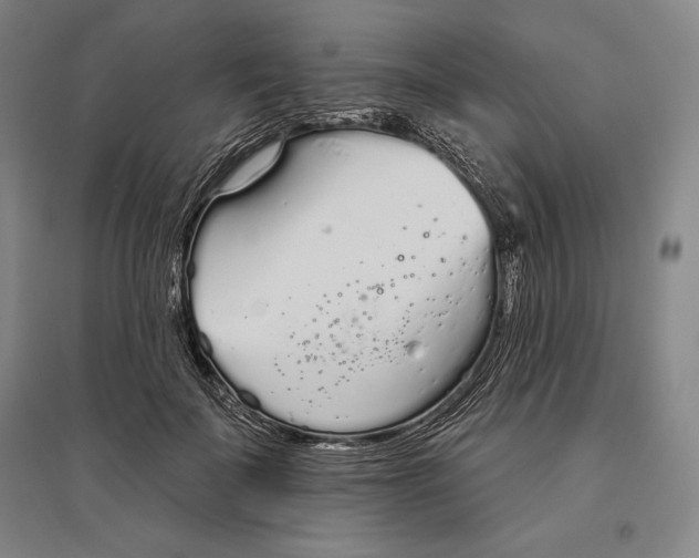 X0000096630699200802261205