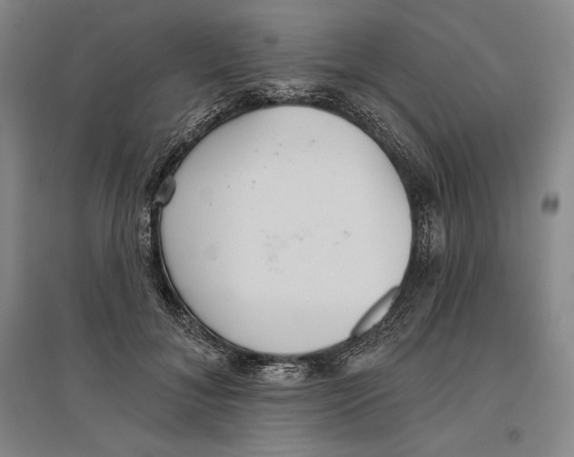 X0000096630700200802261205