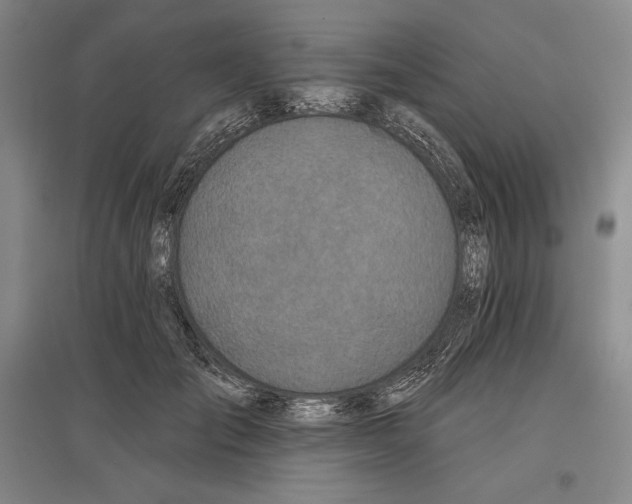 X0000096630701200802261205