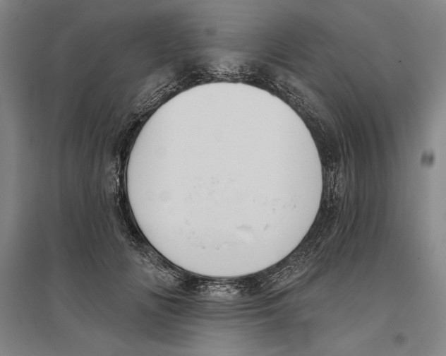 X0000096630702200802261205