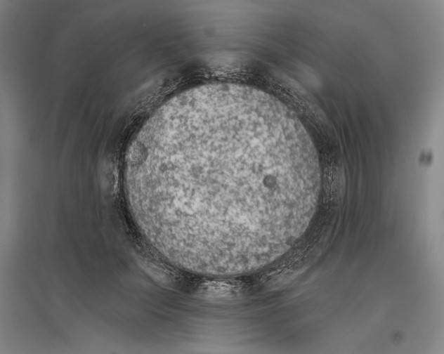 X0000096630703200802261204