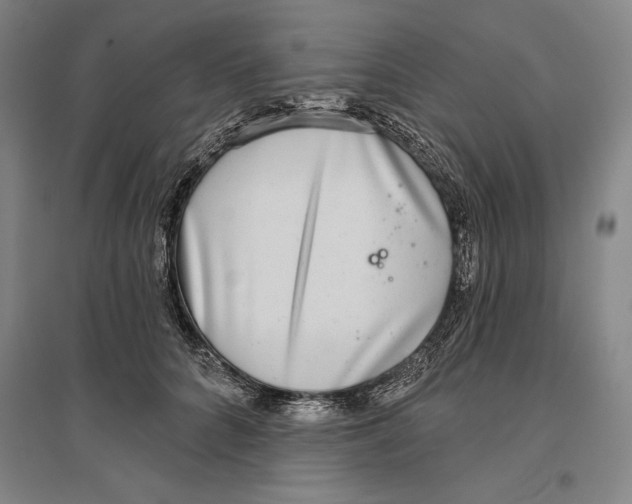 X0000096630704200802261204