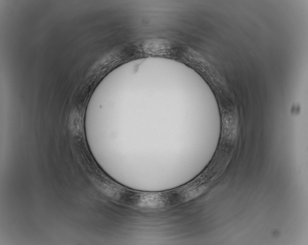 X0000096630705200802261204