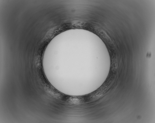 X0000096630706200802261204