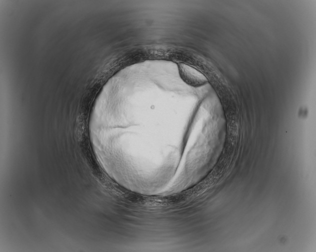 X0000096630707200802261204