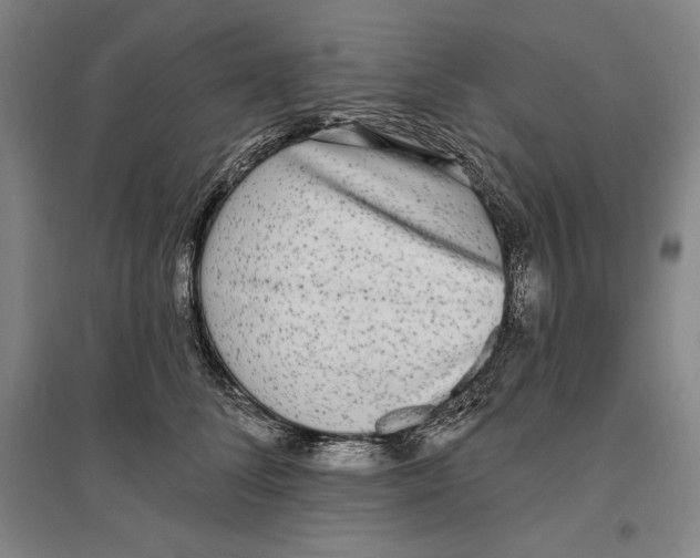 X0000096630708200802261204