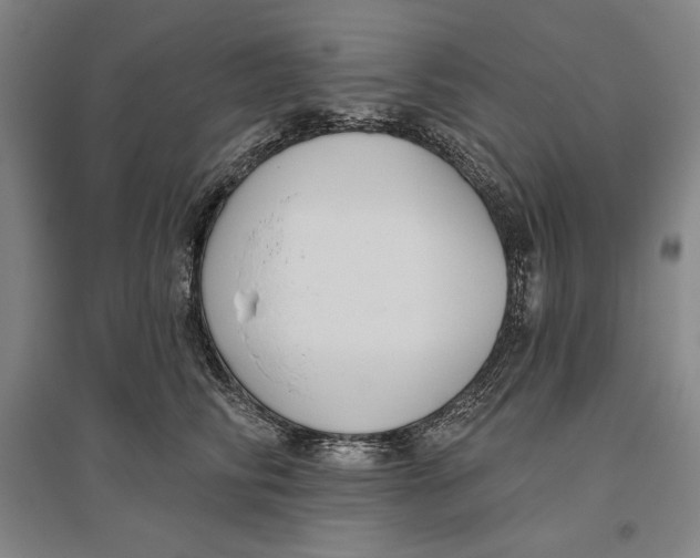 X0000096630710200802261204