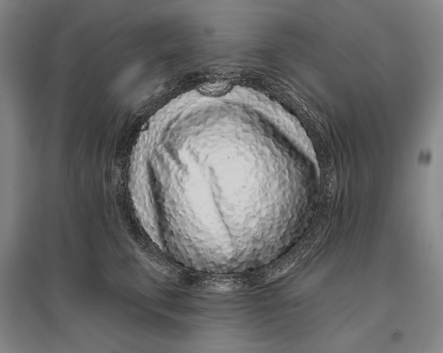 X0000096630711200802261204