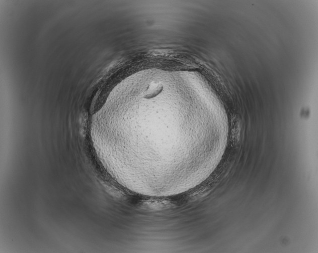 X0000096630712200802261204