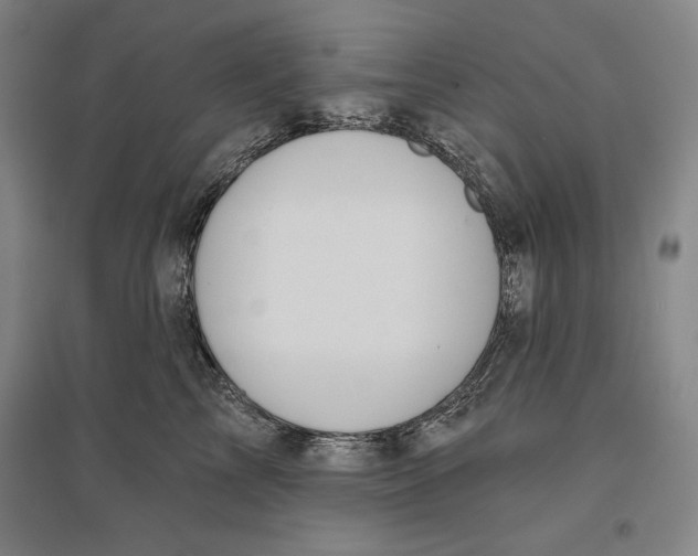 X0000096630713200802261204