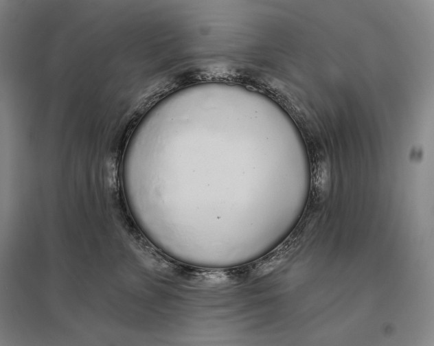 X0000096630715200802261204