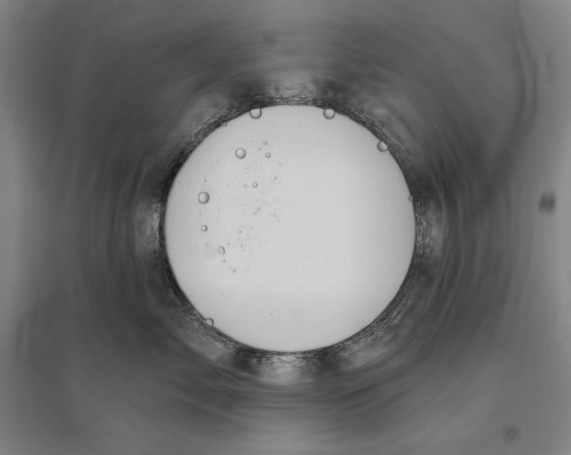 X0000096630717200802261204