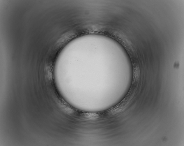 X0000096630719200802261204