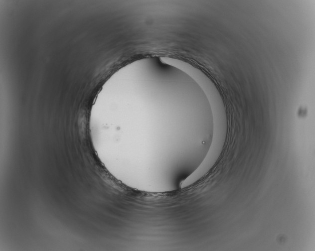 X0000096630720200802261204