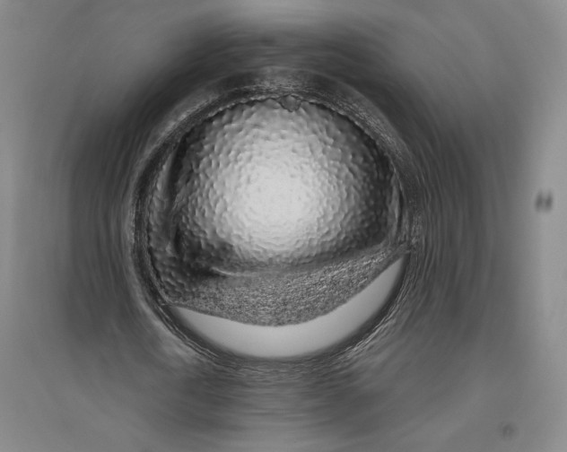 X0000096630722200802261204