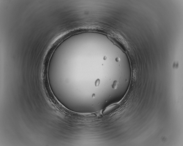 X0000096630724200802261204