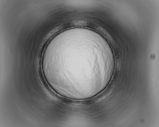 X0000096630725200802261204