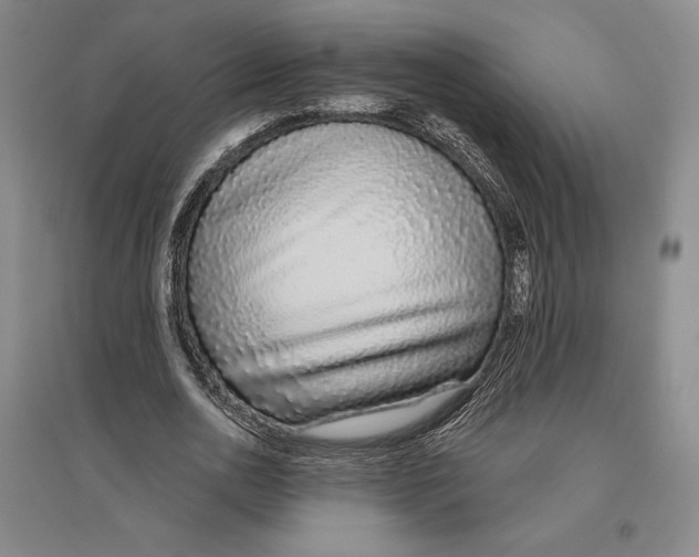 X0000096630726200802261204