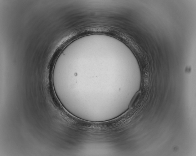 X0000096630727200802261204