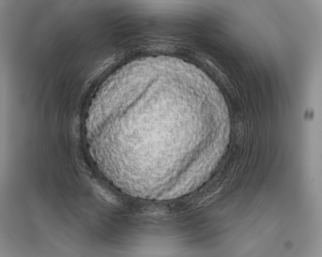 X0000096630729200802261204