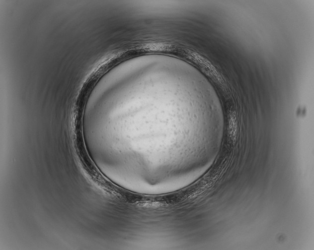 X0000096630730200802261204