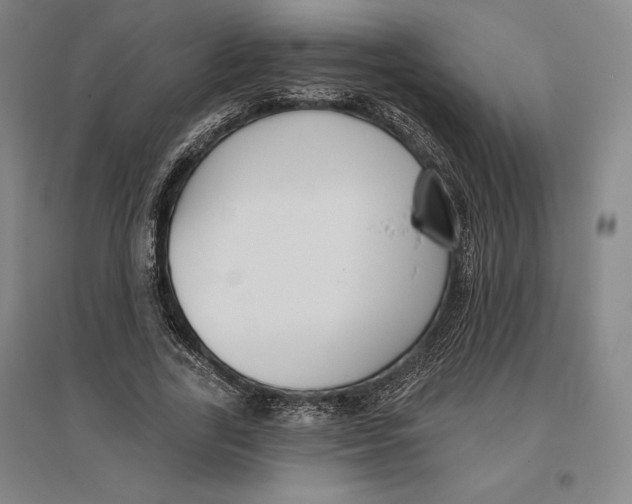 X0000096630731200802261204