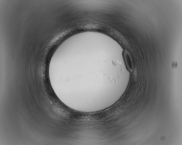 X0000096630732200802261204