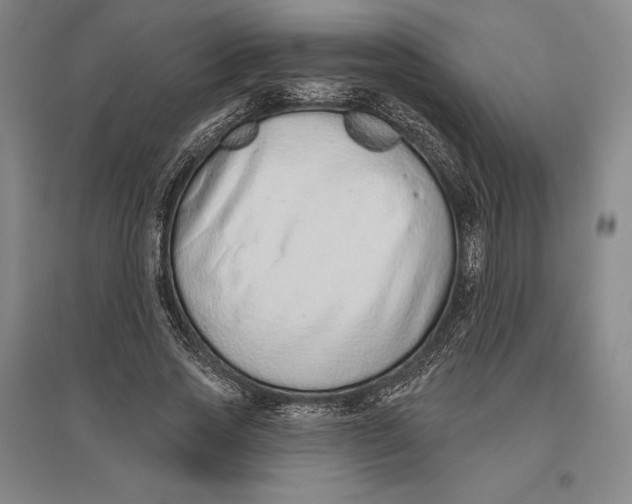 X0000096630733200802261204