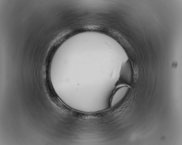 X0000096630734200802261204