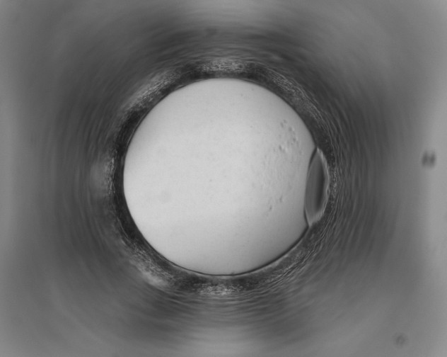 X0000096630735200802261204