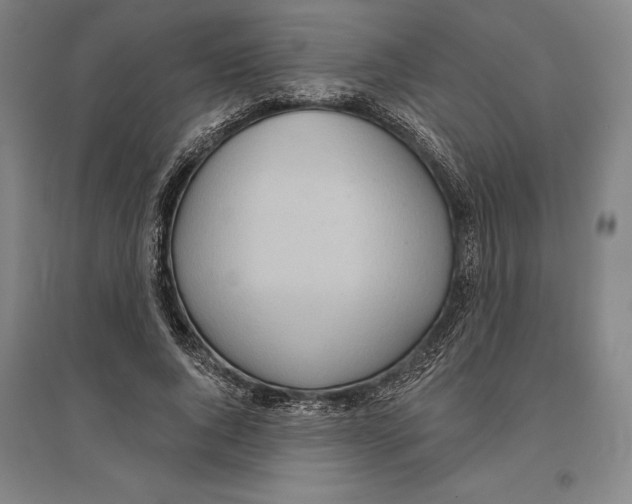 X0000096630736200802261204