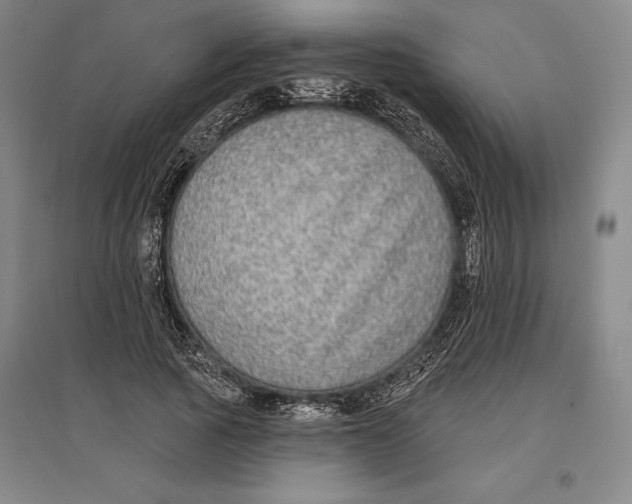 X0000096630737200802261204