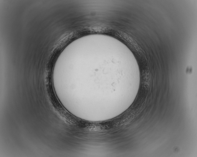 X0000096630738200802261204