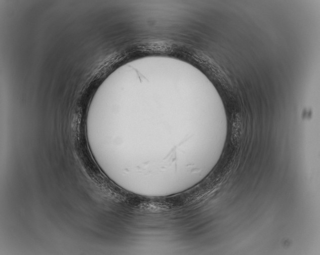 X0000096630739200802261204