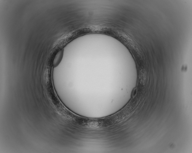 X0000096630740200802261204