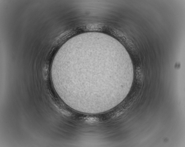 X0000096630741200802261204