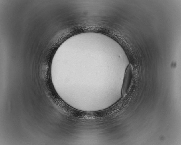 X0000096630742200802261204