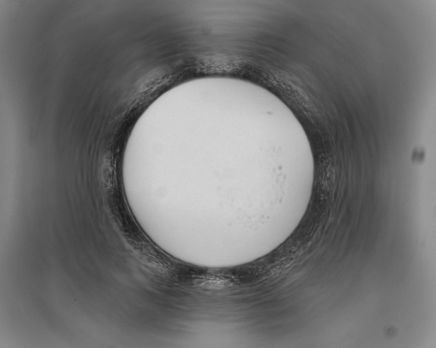 X0000096630743200802261204