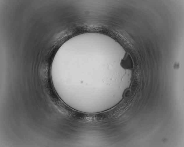 X0000096630744200802261204