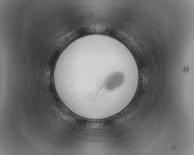 X0000096630745200802261204