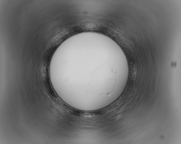 X0000096630746200802261204