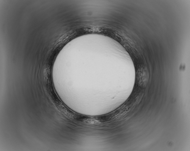 X0000096630747200802261204